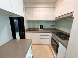 Eight Riversuites (D12), Condominium #599756521